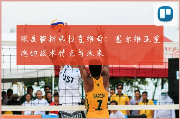 深度解析弗拉霍维奇:塞尔维亚重炮的技术特点与未来